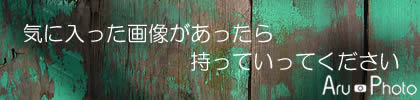 �ե꡼ ̵�� �̿� �Ǻ� ���� AruPhoto