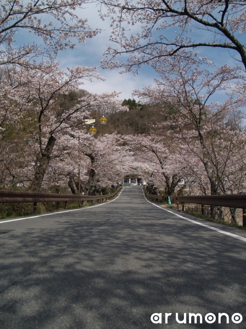 2012年　中川村の桜